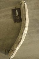 Saucisse droite
