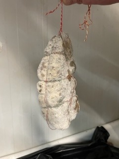 Photo du produit rappelé