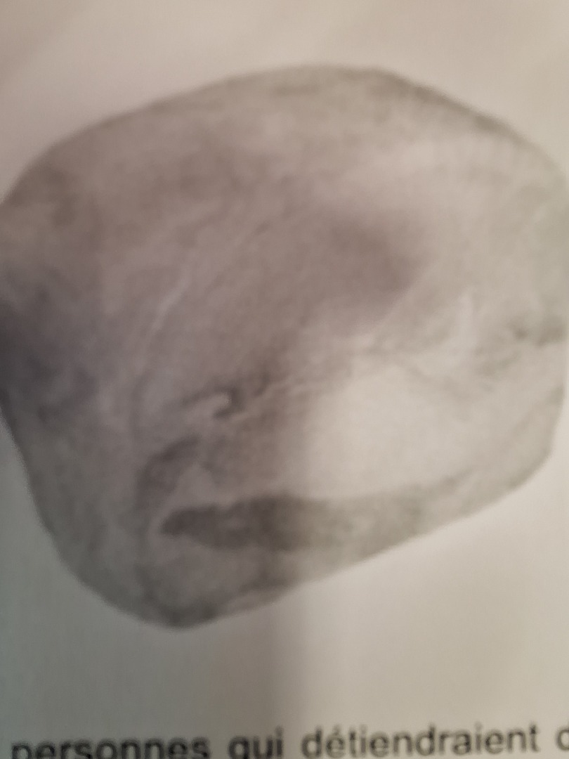 Photo du produit rappelé